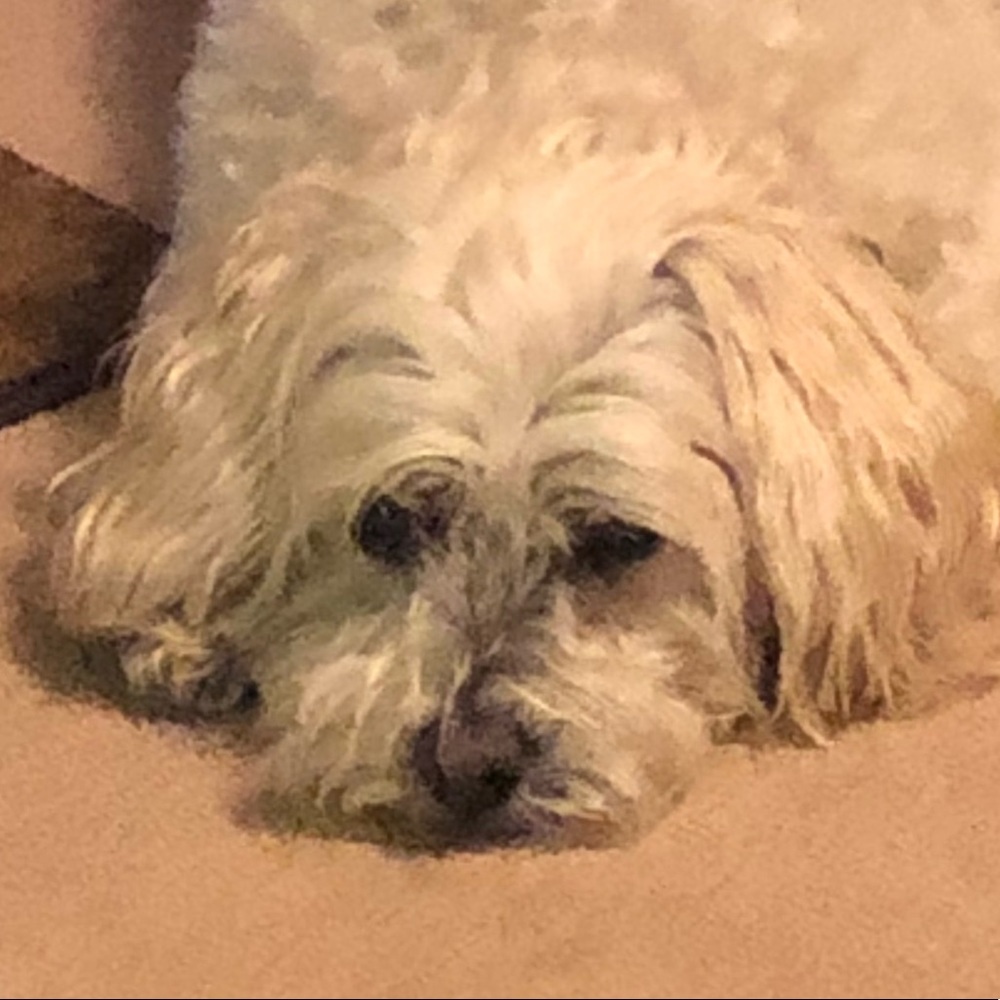 Meet your Posher, Jamie lynne